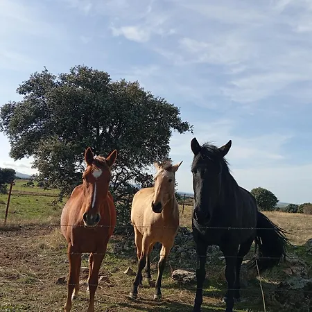 Casa vacanze Huerta Del Pasil