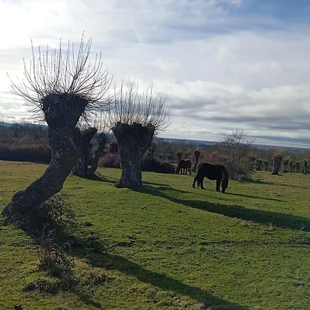 Huerta Del Pasil Casa vacanze Cordova